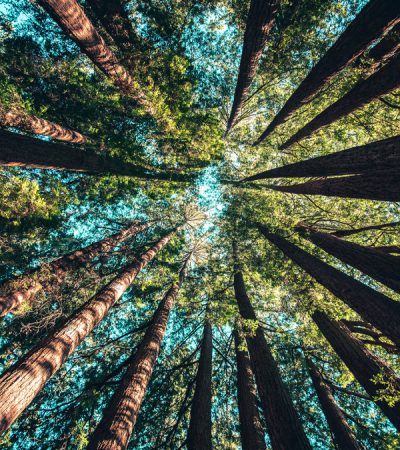 About-Us-Sustainability-2